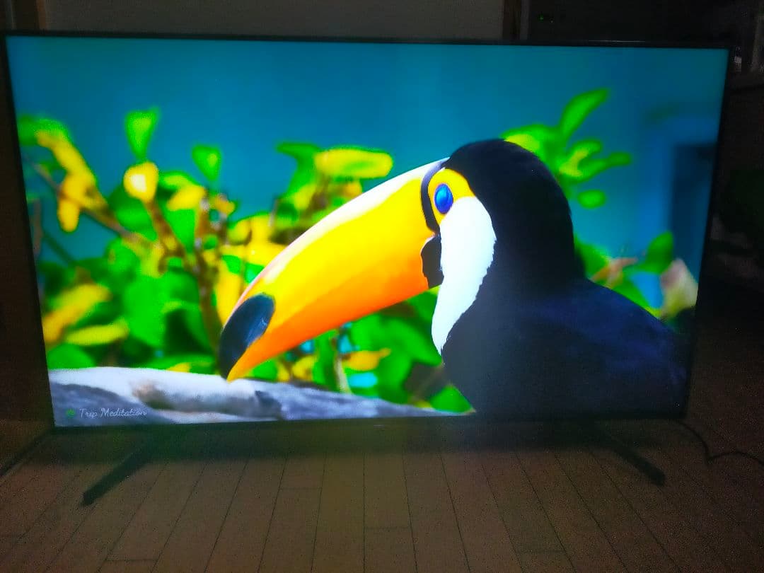 テレビ SONY BRAVIA KJ-55x8550G