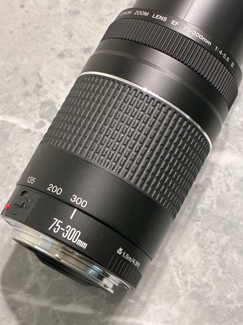⭐️美品⭐️Canon EF 75-300mm F4-5.6 III 望遠レンズ