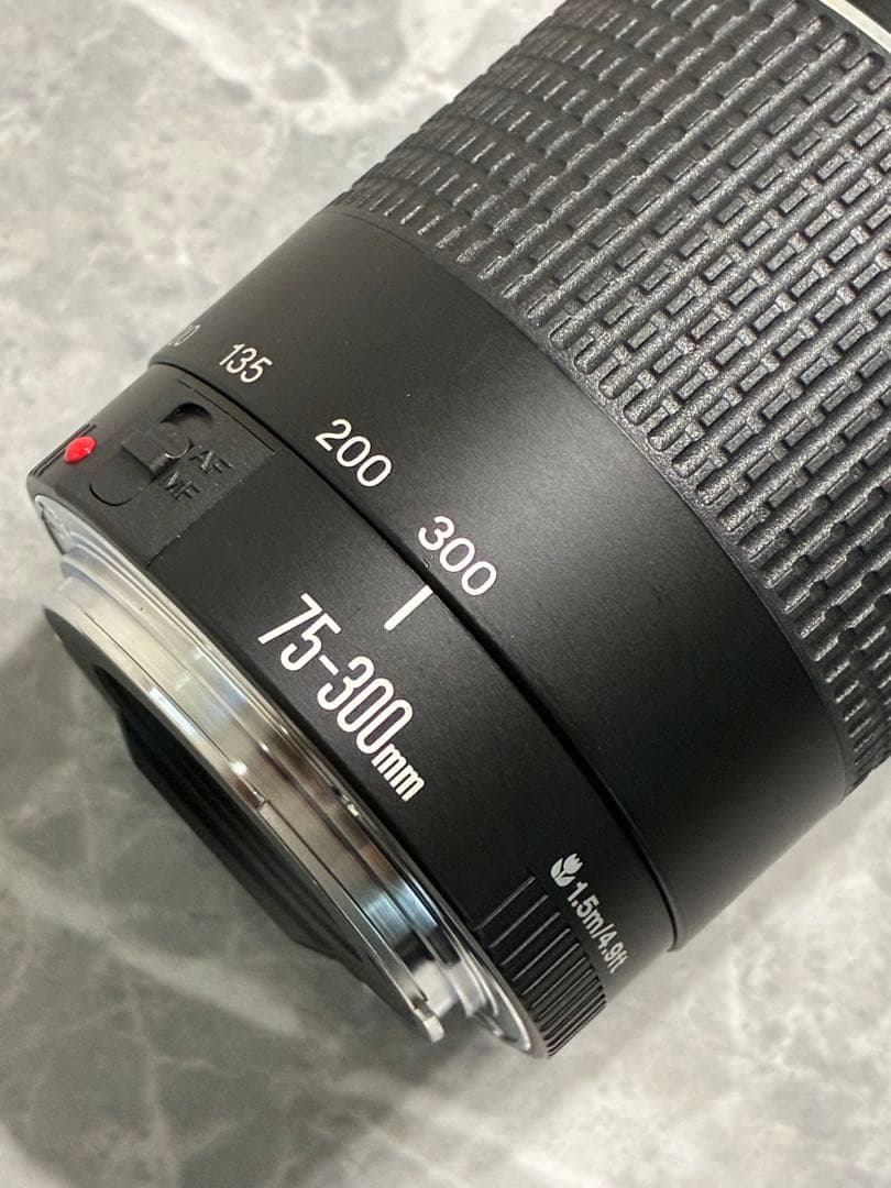 ⭐️美品⭐️Canon EF 75-300mm F4-5.6 III 望遠レンズ