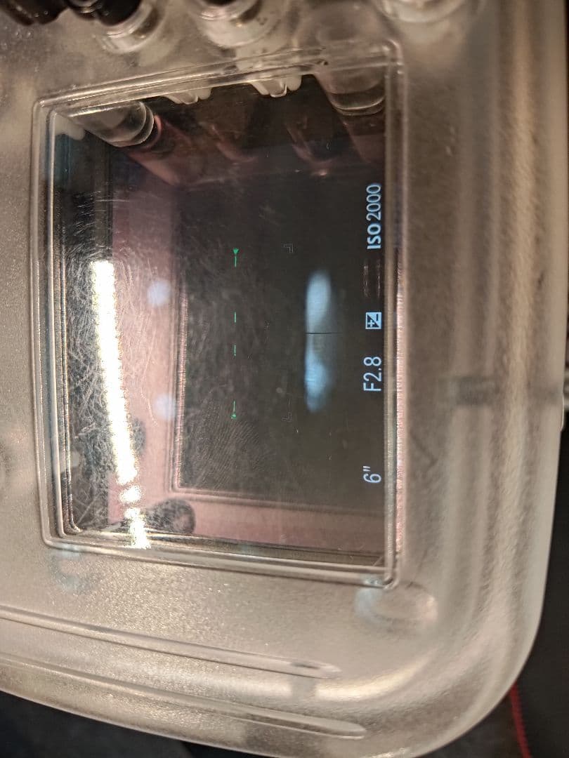 【水中撮影】ソニーSony α7IIミラーレス本体、Meikonハウジング