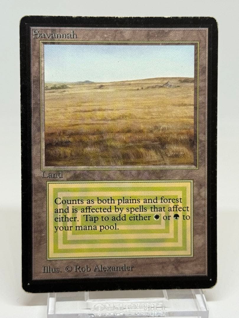 《Savannah》LEB ベータ版　デュアルランド