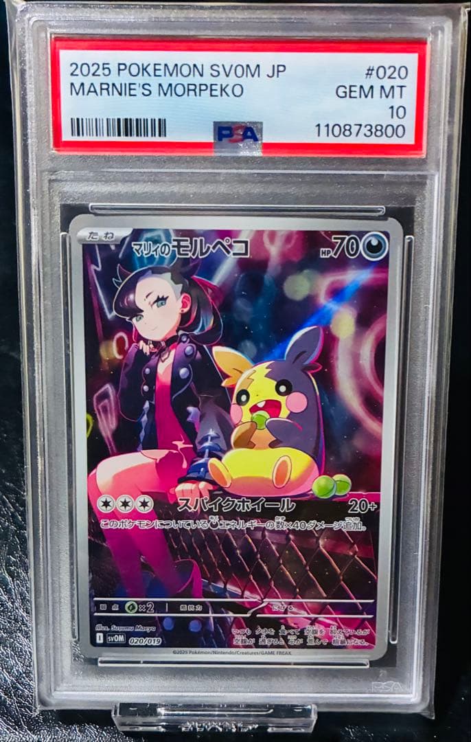 即日発送‼️マリィのモルペコ AR PSA10 ⭐️キリ番800⭐️