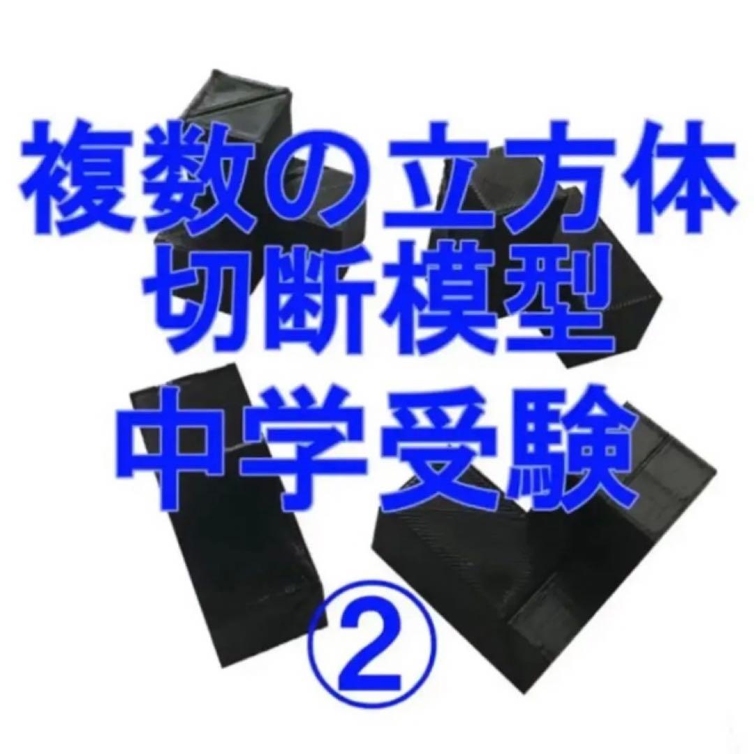 しじみ　立体の切断模型 ①②③④⑤⑥⑦⑧⑨⑩セット