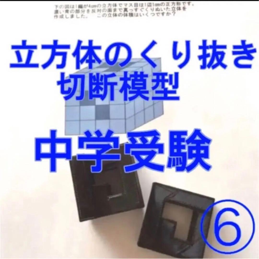 しじみ　立体の切断模型 ①②③④⑤⑥⑦⑧⑨⑩セット