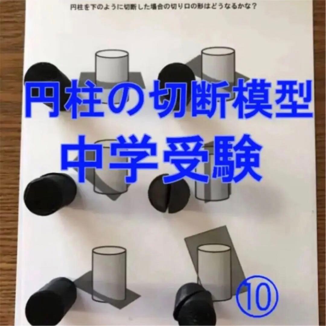しじみ　立体の切断模型 ①②③④⑤⑥⑦⑧⑨⑩セット