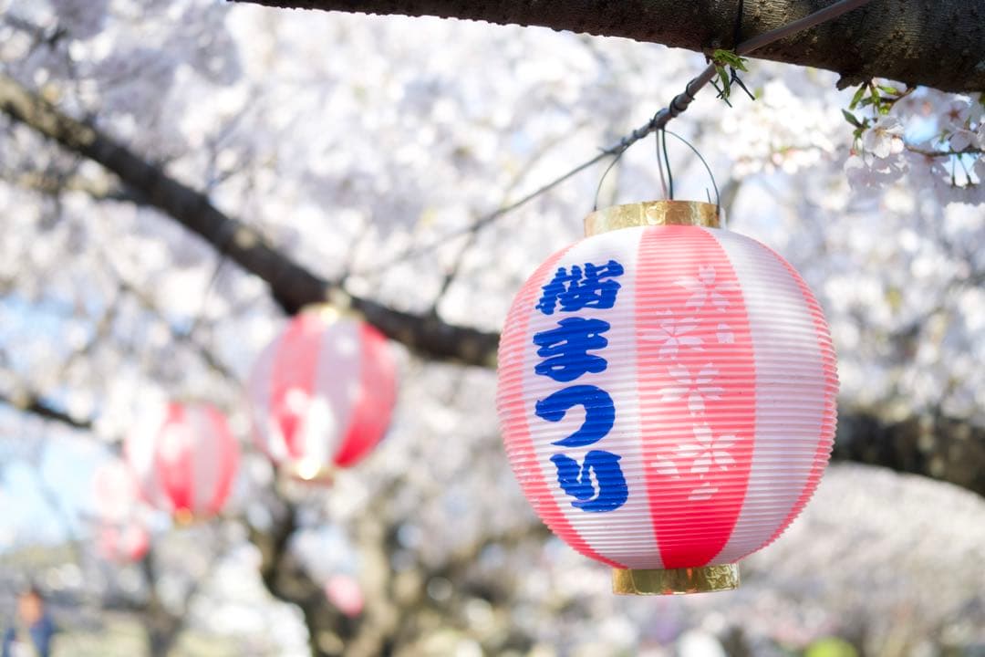 【作例あり】VILTROX AF 35mm F1.7 Z Nikon