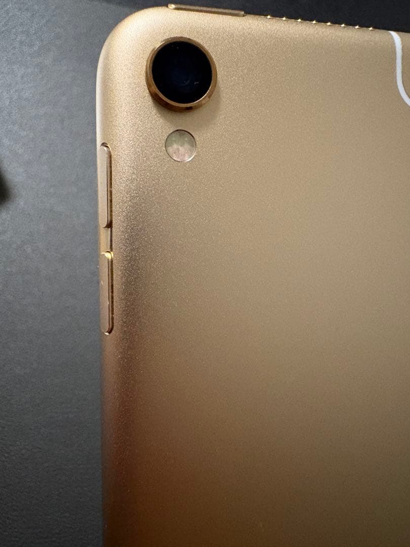 iPad Pro 10.5インチ Wi-Fi+Cellularモデル