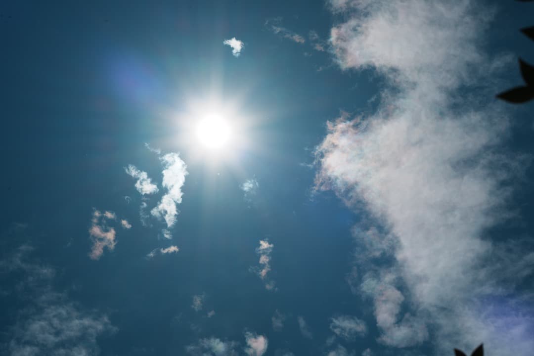 フォクトレンダー MACRO APO-LANTHAR 110mm F2.5