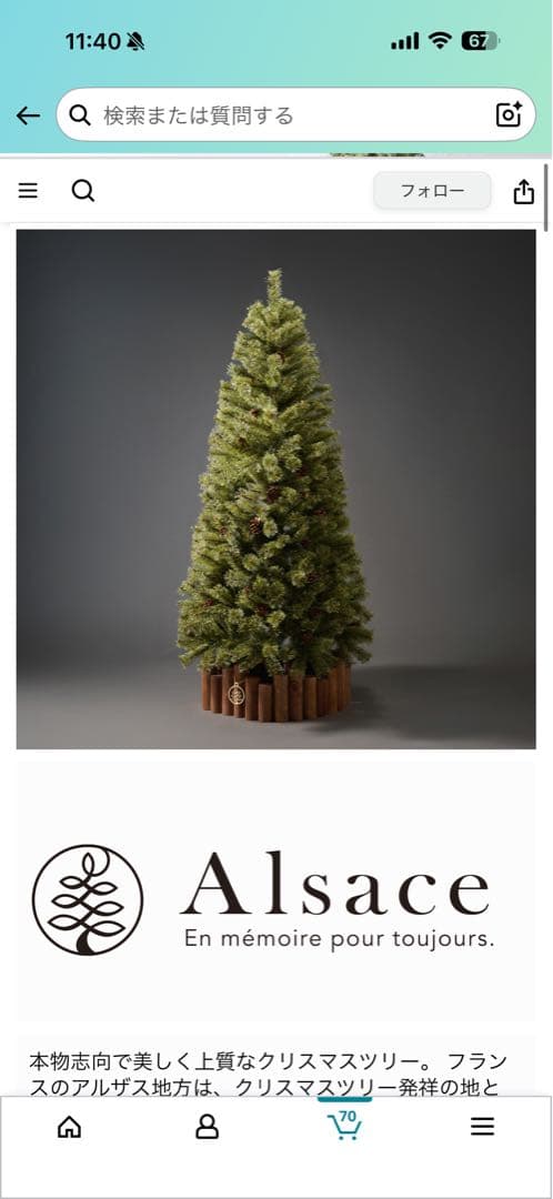 Alsace 高級クリスマスツリー (180cm)