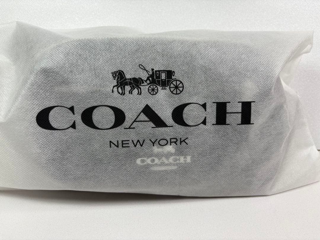 【中古美品】コーチ CJ507 エリアス ボディバッグ ポーチ付　メンズ レザー