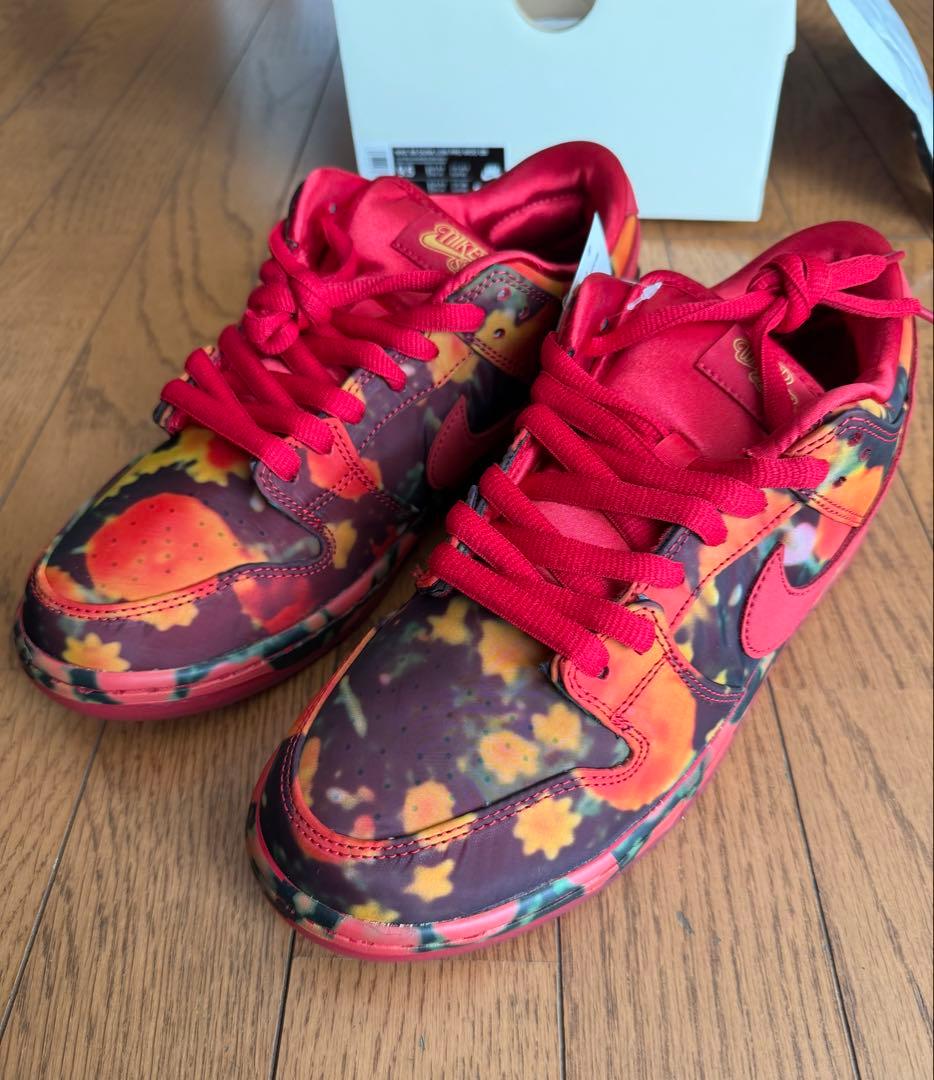 The Wizard of Oz × Nike SB Dunk 27.5cm