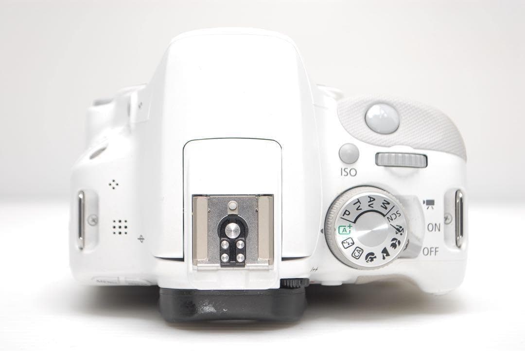 ⭐️大満足セット⭐️Canon kiss X7 初心者おすすめ 付属品豊富