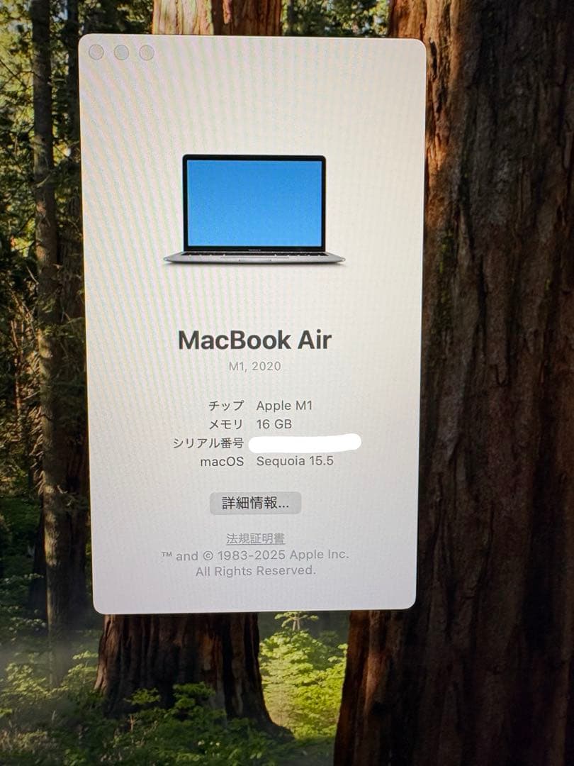 M1 MacBook Air 16GB 512GB スペースグレイ