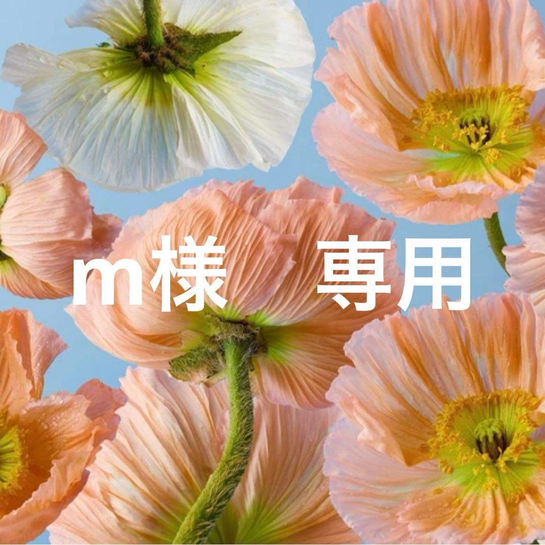 m　本日発送　ブルー25