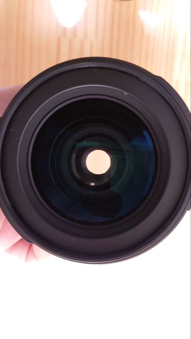 Nikon ニコン AF-S DX 17-55mm F2.8G IF-ED