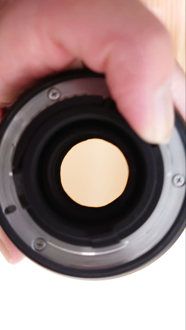 Nikon ニコン AF-S DX 17-55mm F2.8G IF-ED