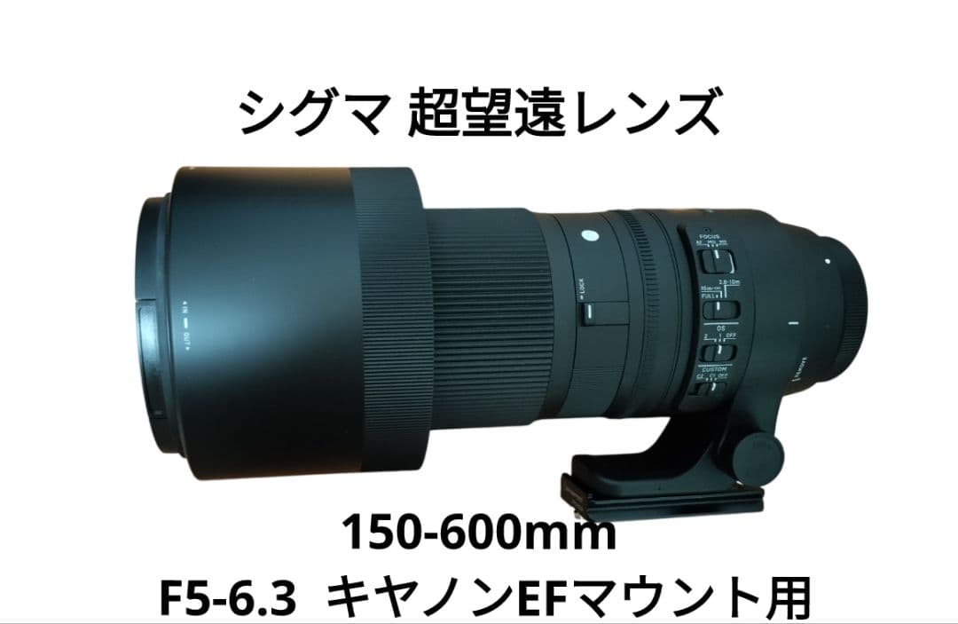 【フエラムネ】美品 シグマ 150-600mm キヤノンEFマウントレンズ