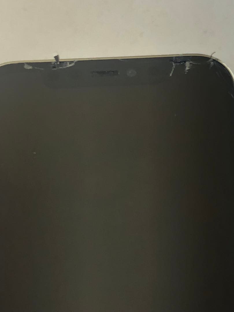 Apple iPhone 12 pro 本体 起動不可 ジャンク品