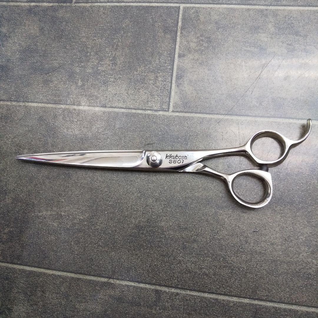 カットシザー(キクボシ)