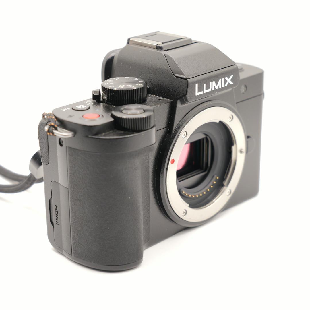 Panasonic ミラーレスカメラ G100D