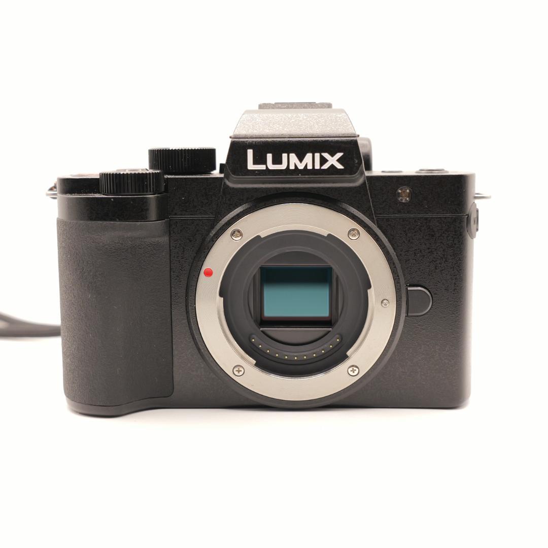 Panasonic ミラーレスカメラ G100D