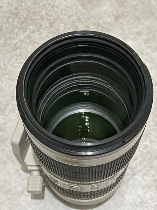 Canon EF70-200mm F2.8L IS Ⅱ USM