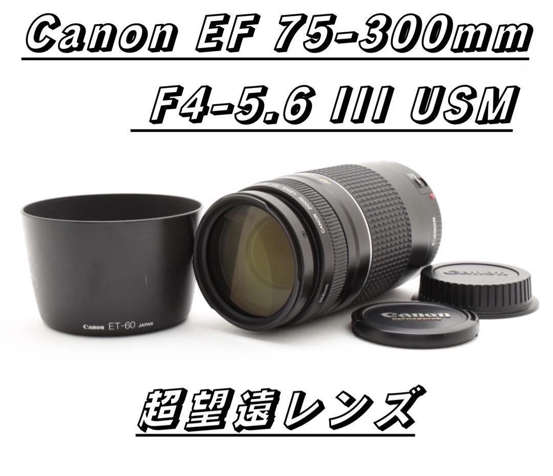 ★良品★ Canon EF 75-300mm F4-5.6 III USM