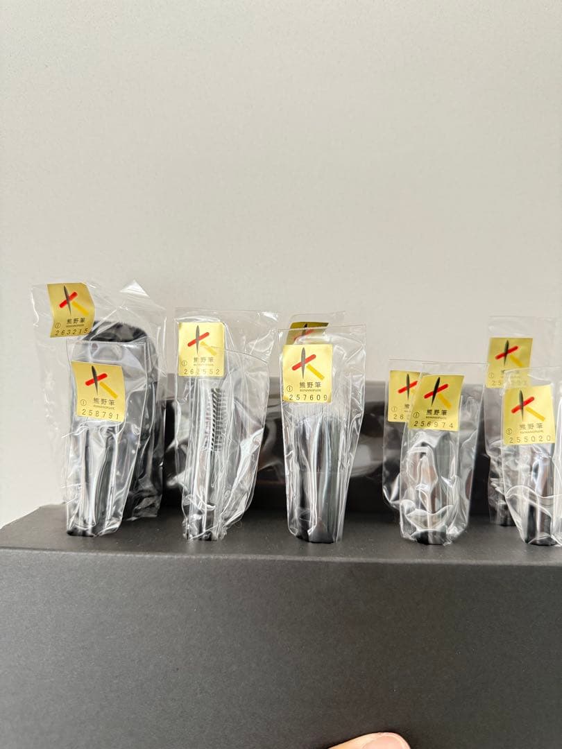 新品未使用SOYOブラシ10本➕ケースセット