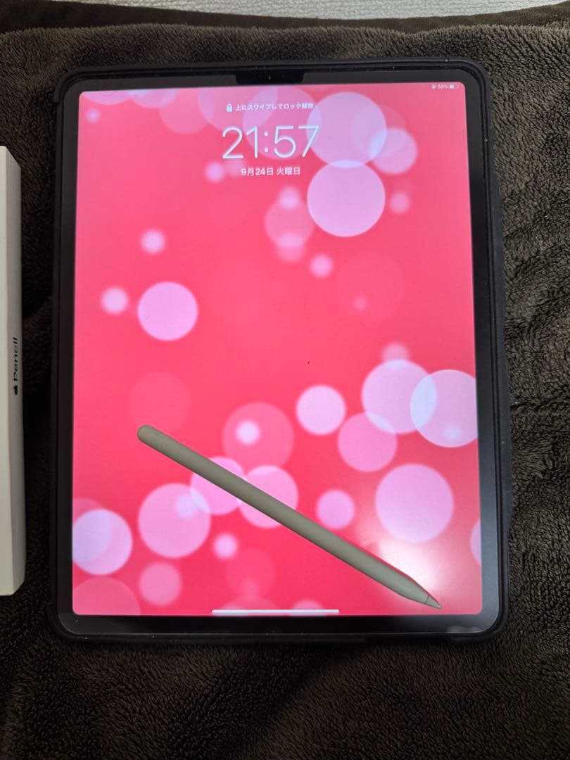 iPad本体 iPad Pro Apple Pencil