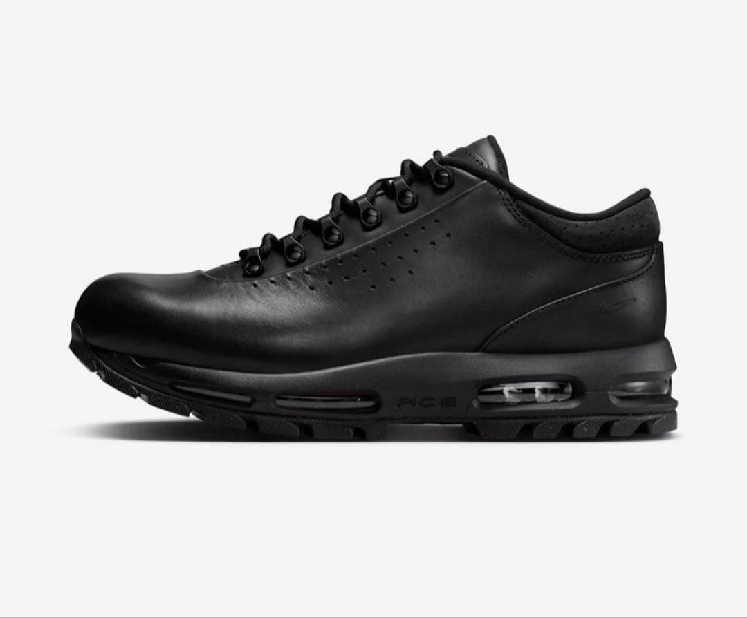 靴 Nike Air Max Goadome Low SP black