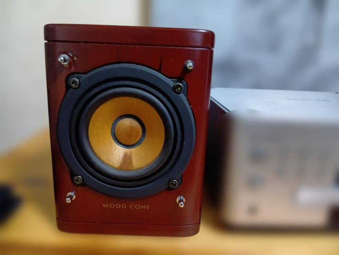 Victor EX-AK1 ウッドコーンスピーカー