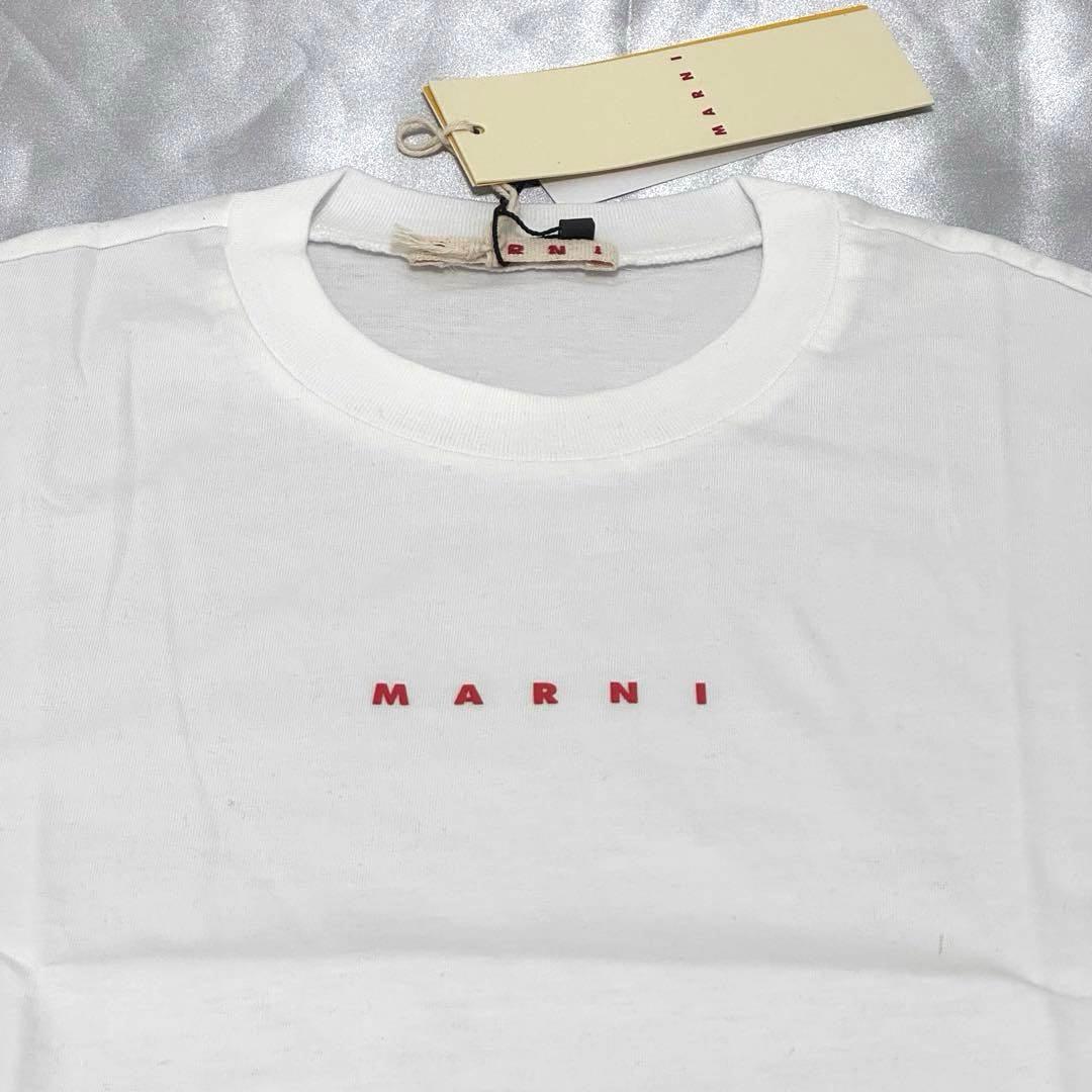 新品未使用 MARNI キッズ 2025SS ロゴ Tシャツ 大人もOK！