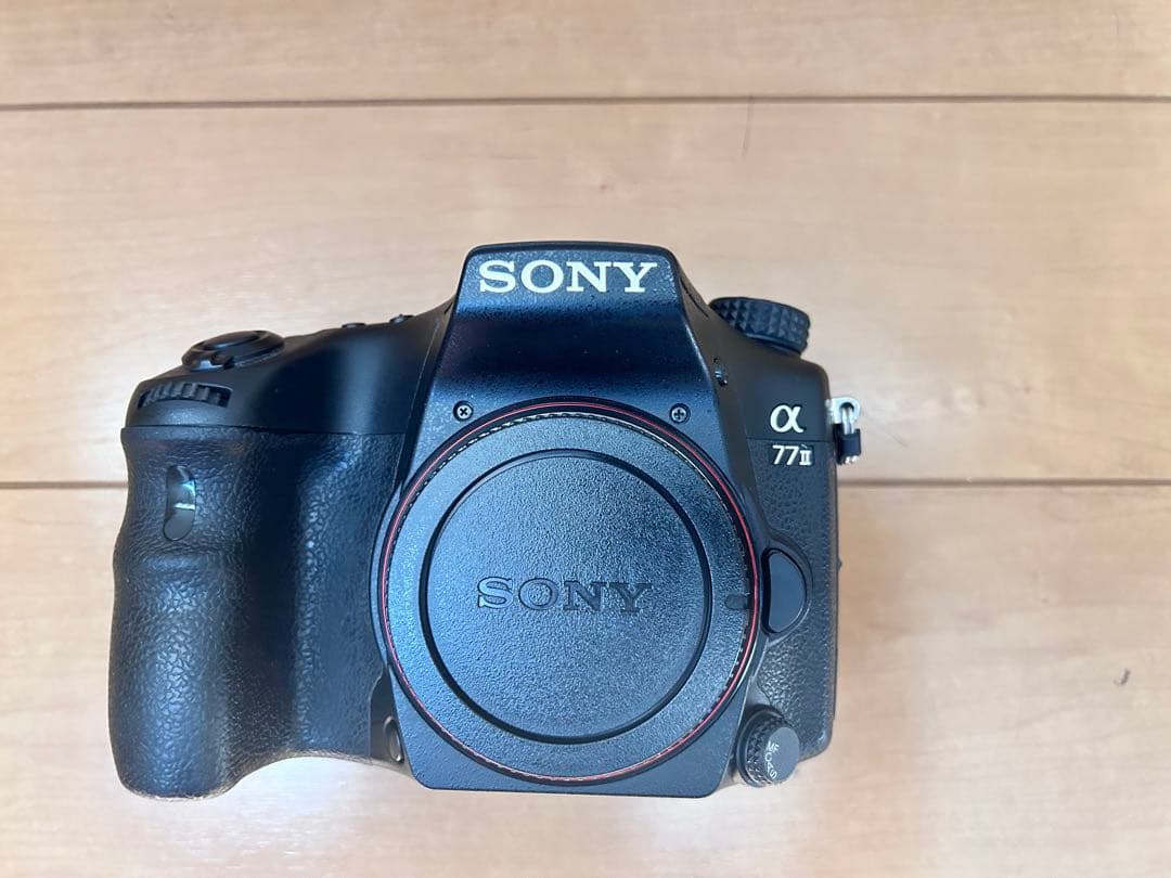 SONY α77IIとMINOLTA 50mmf1.4