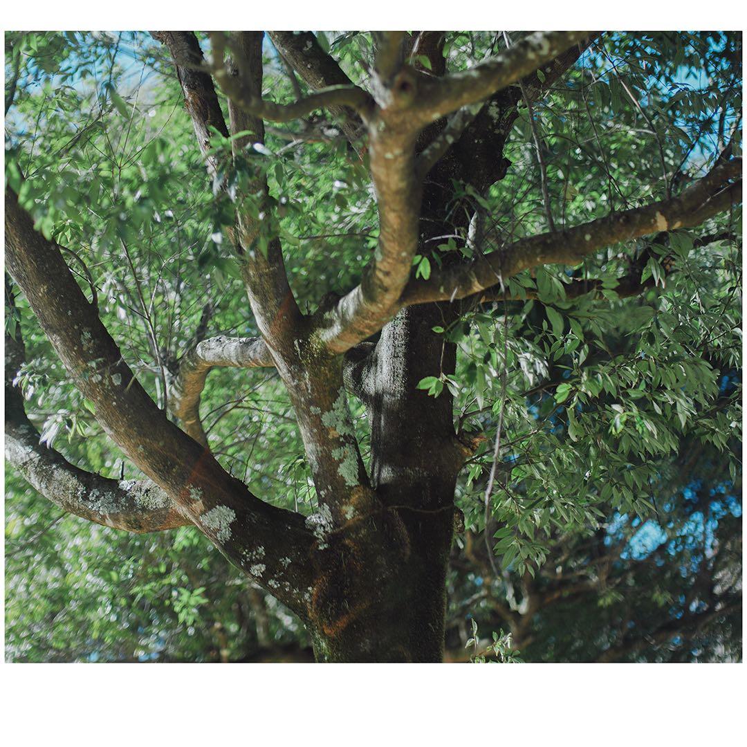 mitakon 65mm f1.4 fujifilm gマウント　gfx