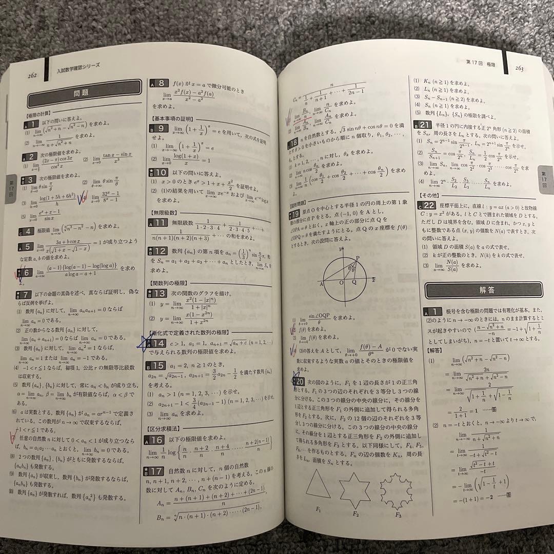 化学実力演習　数学確認シリーズ