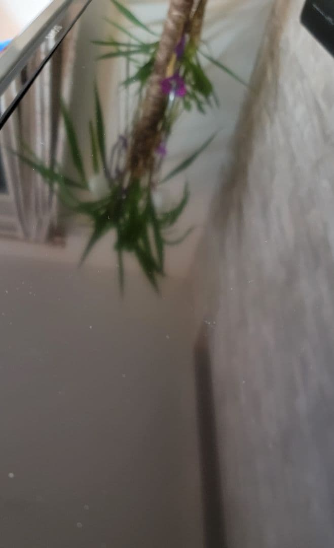 イ*キ様 SONY 40型TV KDL-40W600B｜2015年製 動作品