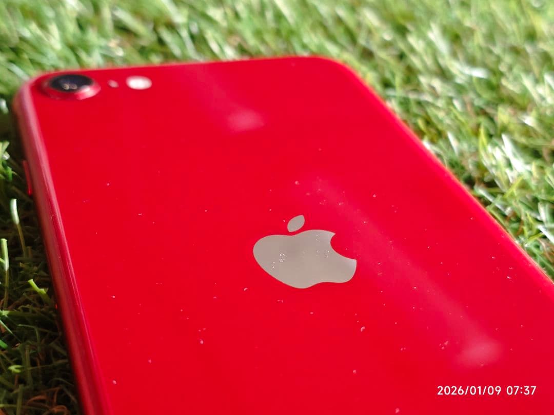 Apple iPhone SE (第3世代) レッド