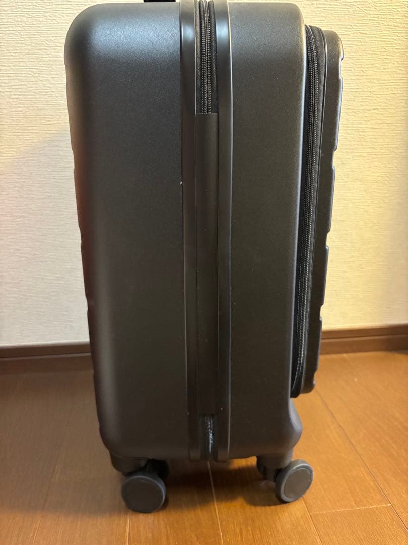 【専用】ACE スーツケース フレットボード 29L