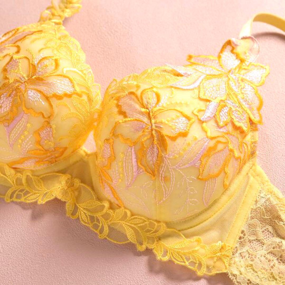 ①リピ割-100★複数割-200★E70、フルバックL♡追加フルバックL2枚✨