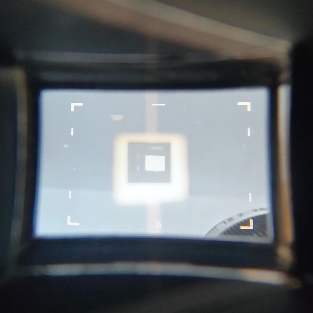 動作⚪︎ Canon 7 / CANON LENS 50mm F1.8