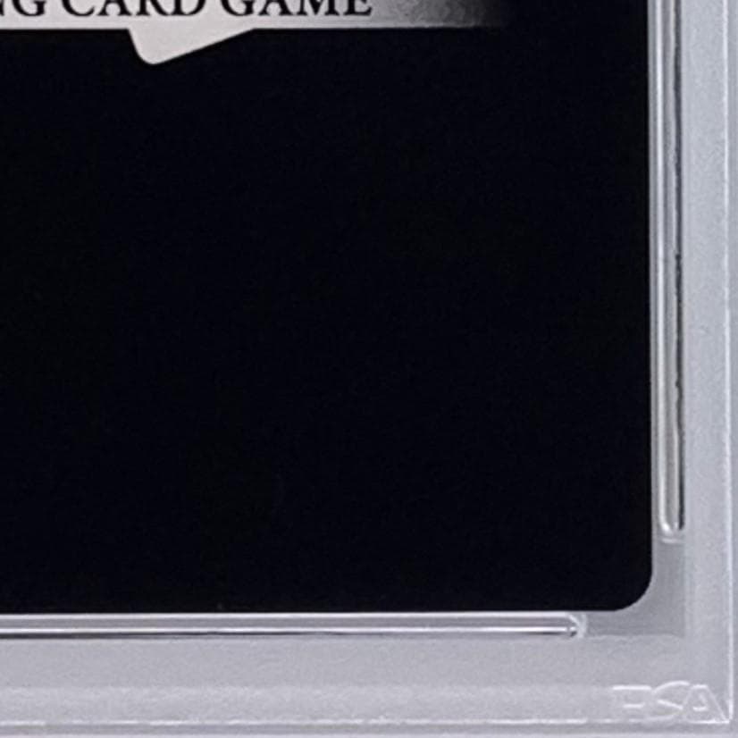 【PSA10】　22-010L　セルフィ