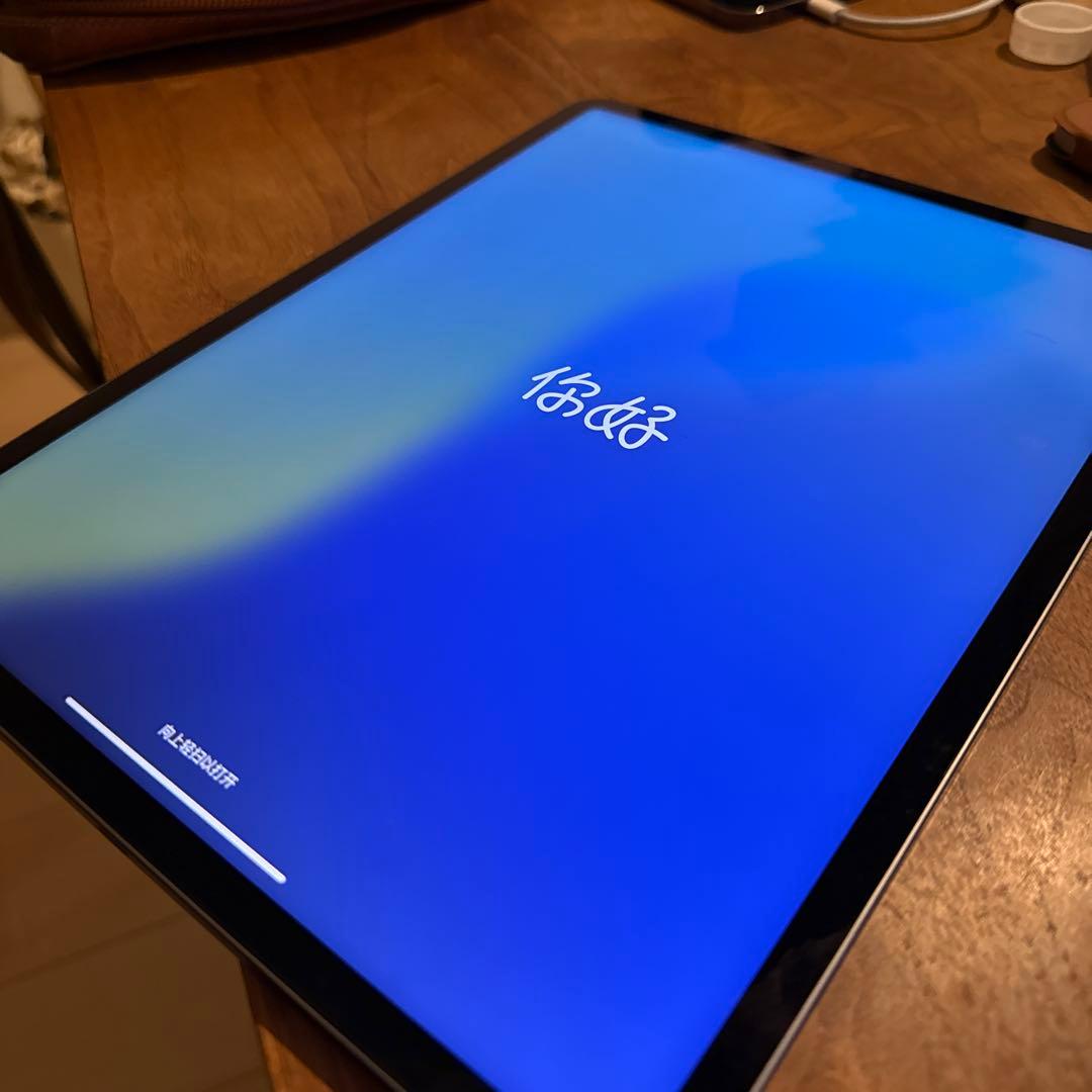 ichi　iPad Pro 12.9インチ (第5世代) 128GB