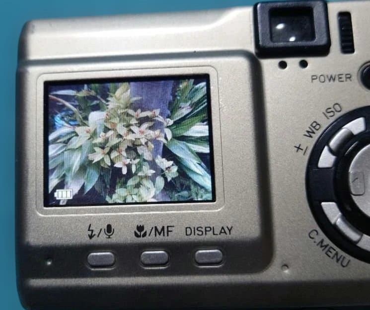 中古かつ動作品かつ美品「CONTAX TVS DIGITAL」＋付属品