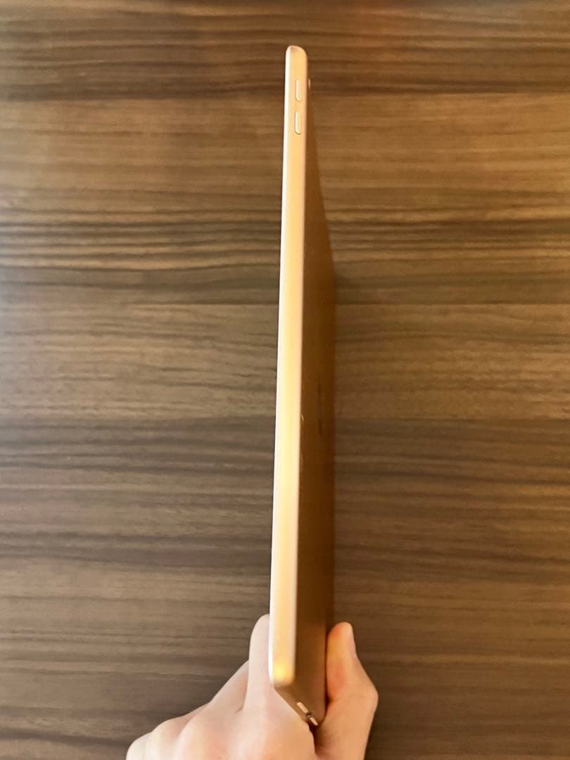 【美品】iPad 第6世代 ゴールド 本体 充電器・カバー付 Wi-Fiモデル