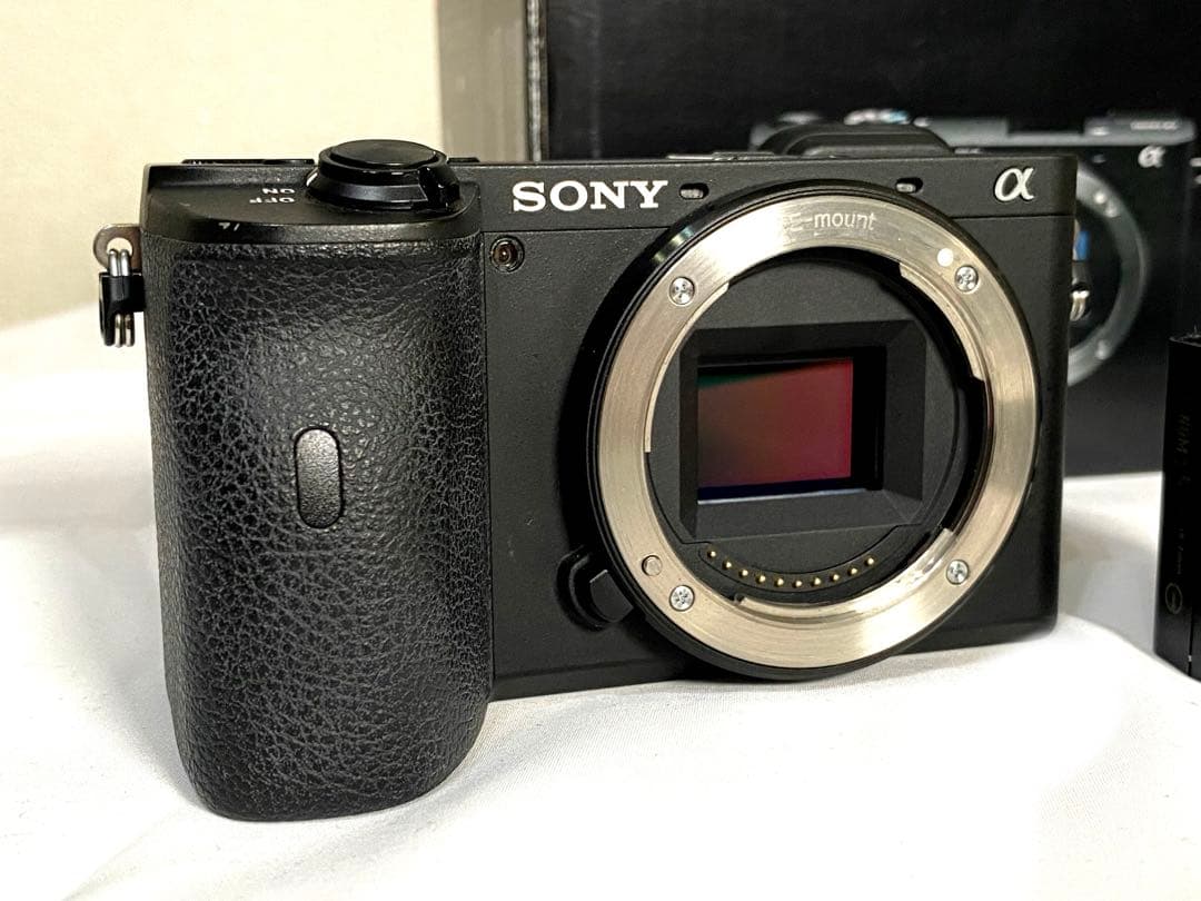 SONY α6600 Tamron f2.8ズームレンズ SDカード64GB
