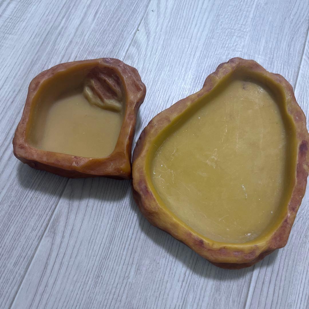 爬虫類　飼育セット　フードおまけ付き