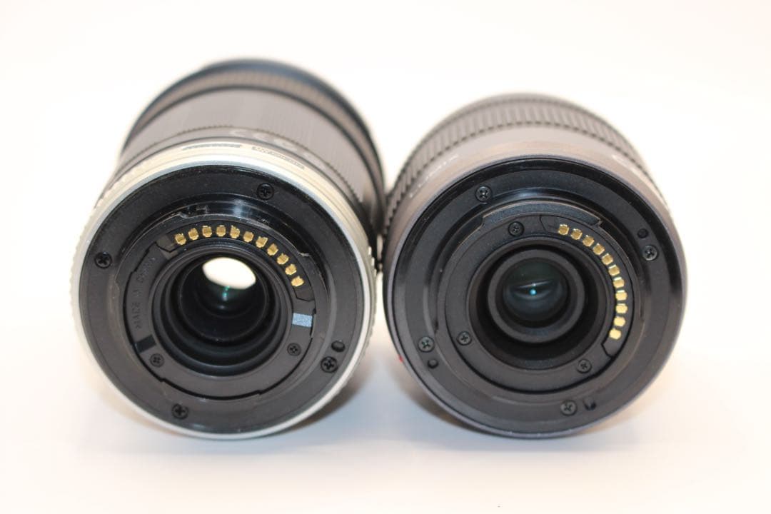 ★お買い得★ LUMIX DMC-G10 ダブルレンズセット　ミラーレス