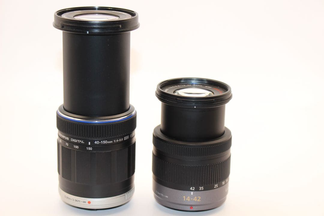 ★お買い得★ LUMIX DMC-G10 ダブルレンズセット　ミラーレス