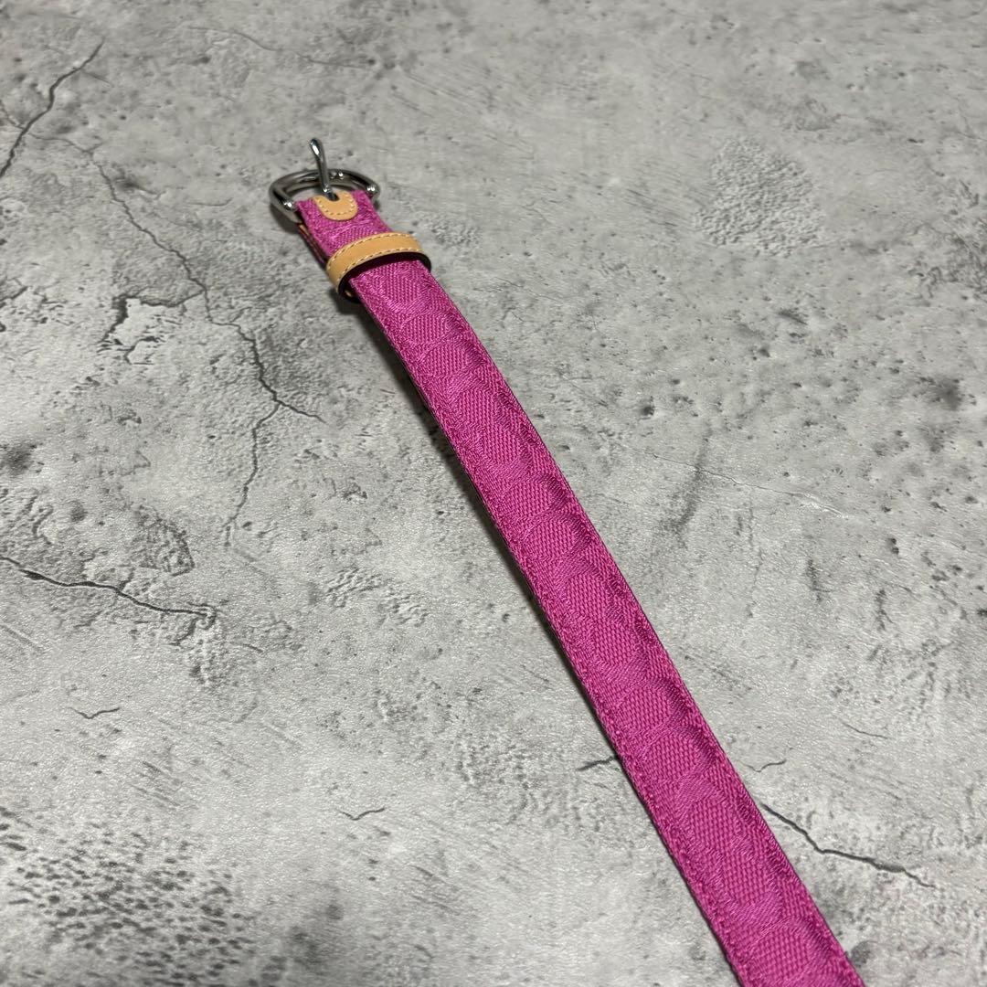希少✨️Coach Signature Leather Belt in Pink