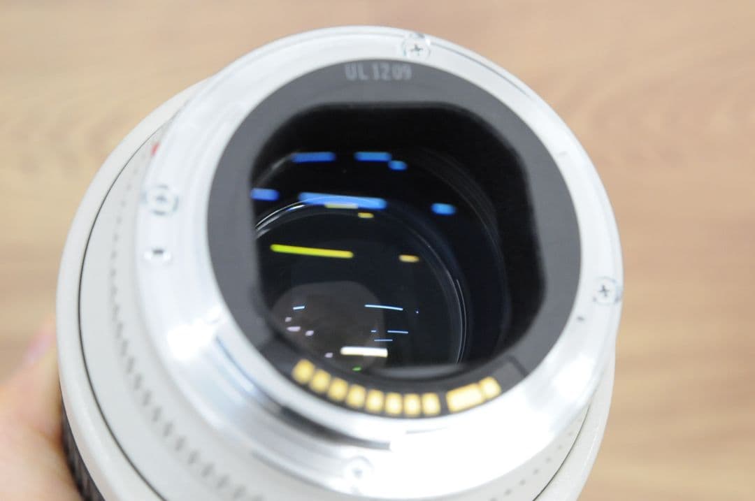 【ジャンク品】Canon EF 70-200mm F2.8 L USM 望遠